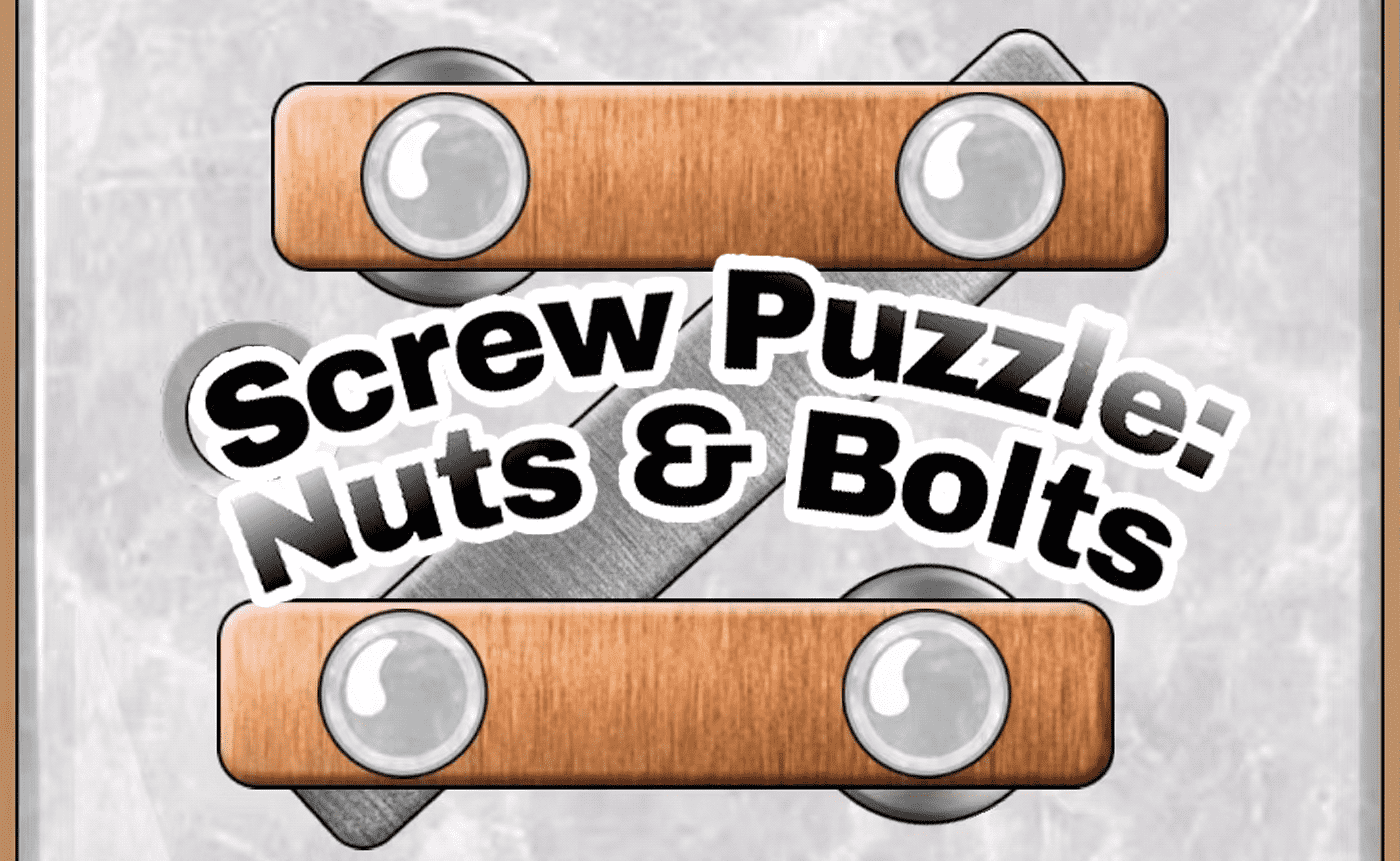 Screw Puzzle